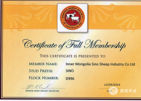 澳大利亞杜泊羊協(xié)會(huì )海外唯一會(huì )員