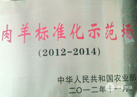 國家級肉羊標準化示范場(chǎng)