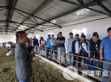 通遼市扎魯特旗巴雅爾吐胡碩鎮牧民參觀(guān)學(xué)習