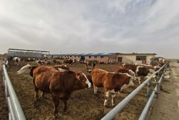 農牧要聞丨綠興“神舟家園”